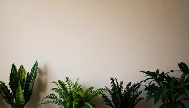 企业黄页服务选择依据如何影响商机匹配效果